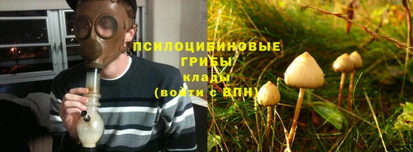 2c-b Армянск