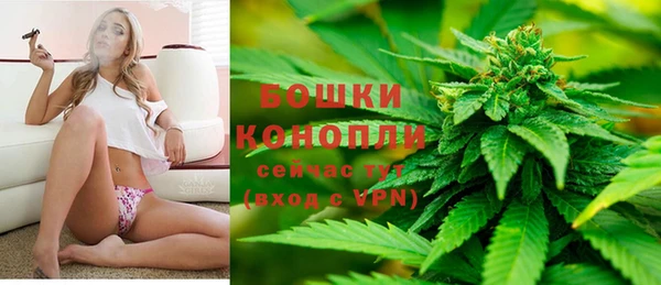 дурь Арсеньев