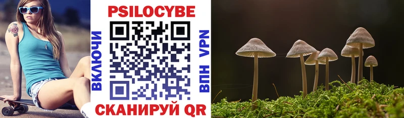 сколько стоит Ядрин Псилоцибиновые грибы прущие грибы